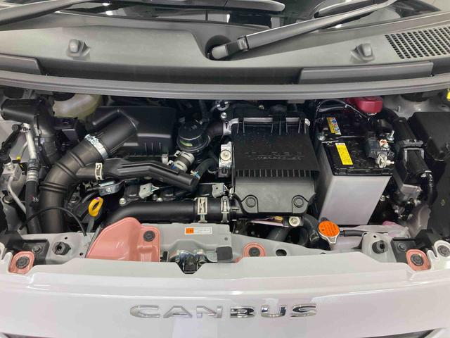 ムーヴキャンバスストライプスＧターボ衝突被害軽減ブレーキ　横滑り防止装置　４ＷＤ　オートハイビーム　アイドリングストップ　ステアリングスイッチ　オートライト　キーフリーシステム　オートエアコン　パノラマカメラ（岐阜県）の中古車