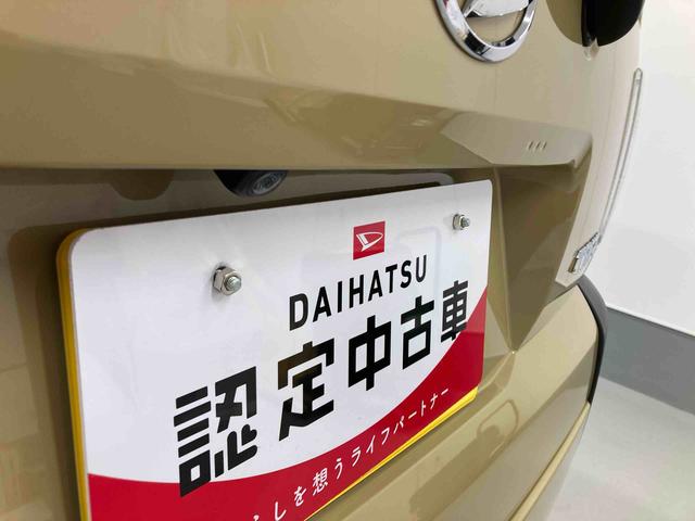 タフトＧ衝突被害軽減ブレーキ　横滑り防止装置　オートハイビーム　アイドリングストップ　ステアリングスイッチ　オートライト　キーフリーシステム　オートエアコン　ナビ　パノラマカメラ　マット　バイザー（岐阜県）の中古車