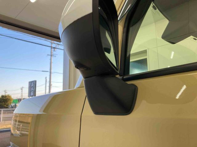 タフトＧ衝突被害軽減ブレーキ　横滑り防止装置　オートハイビーム　アイドリングストップ　ステアリングスイッチ　オートライト　キーフリーシステム　オートエアコン　ナビ　パノラマカメラ　マット　バイザー（岐阜県）の中古車