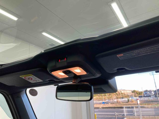 タフトＧ衝突被害軽減ブレーキ　横滑り防止装置　オートハイビーム　アイドリングストップ　ステアリングスイッチ　オートライト　キーフリーシステム　オートエアコン　ナビ　パノラマカメラ　マット　バイザー（岐阜県）の中古車