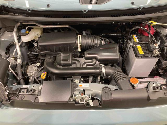 タフトＸ衝突被害軽減ブレーキ　横滑り防止装置　オートハイビーム　アイドリングストップ　ステアリングスイッチ　オートライト　キーフリーシステム　オートエアコン　パノラマカメラ　マット　バイザー（岐阜県）の中古車