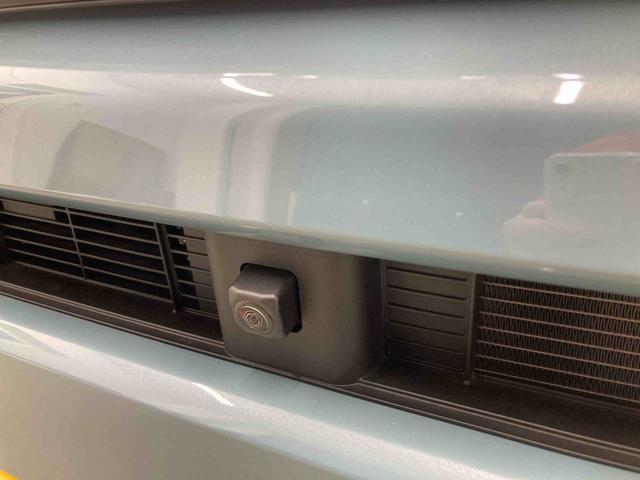 タフトＸ衝突被害軽減ブレーキ　横滑り防止装置　オートハイビーム　アイドリングストップ　ステアリングスイッチ　オートライト　キーフリーシステム　オートエアコン　パノラマカメラ　マット　バイザー（岐阜県）の中古車