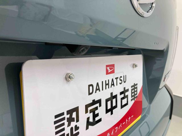 タフトＸ衝突被害軽減ブレーキ　横滑り防止装置　オートハイビーム　アイドリングストップ　ステアリングスイッチ　オートライト　キーフリーシステム　オートエアコン　パノラマカメラ　マット　バイザー（岐阜県）の中古車