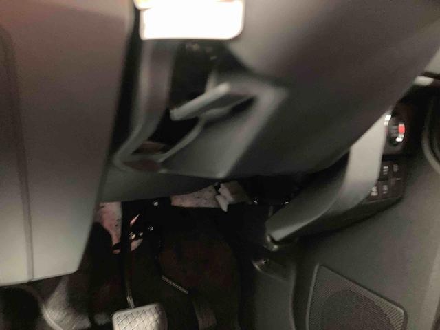 タフトＸ衝突被害軽減ブレーキ　横滑り防止装置　オートハイビーム　アイドリングストップ　ステアリングスイッチ　オートライト　キーフリーシステム　オートエアコン　パノラマカメラ　マット　バイザー（岐阜県）の中古車