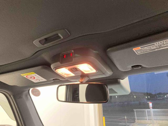 タフトＸ衝突被害軽減ブレーキ　横滑り防止装置　オートハイビーム　アイドリングストップ　ステアリングスイッチ　オートライト　キーフリーシステム　オートエアコン　パノラマカメラ　マット　バイザー（岐阜県）の中古車