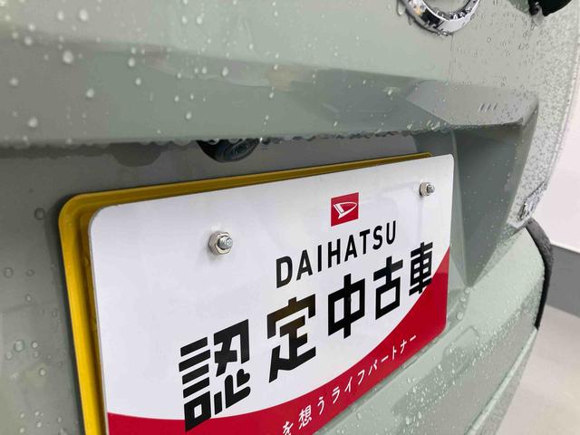 タフトＧ衝突被害軽減ブレーキ　横滑り防止装置　４ＷＤ　オートハイビーム　アイドリングストップ　ステアリングスイッチ　オートライト　キーフリー　ナビ　ドラレコ　バックカメラ　ＥＴＣ　マット　バイザー（岐阜県）の中古車