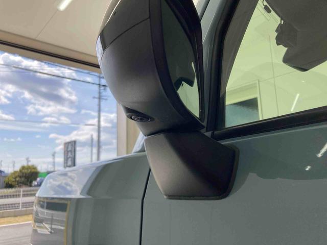 タフトＧ　ダーククロムベンチャー（岐阜県）の中古車