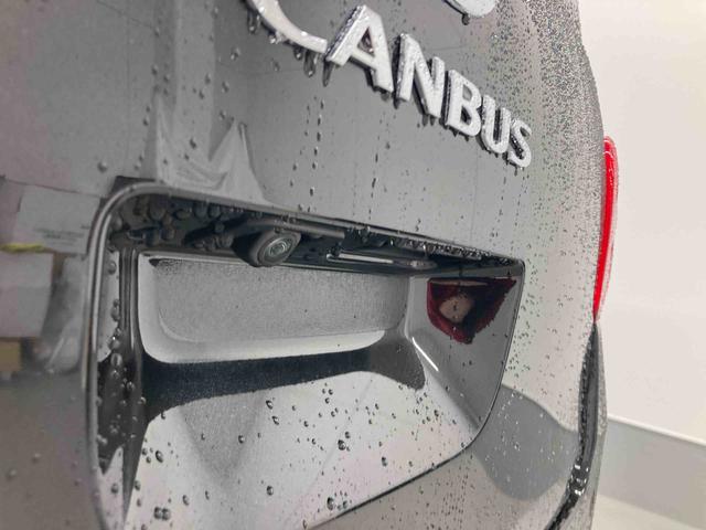 ムーヴキャンバスセオリーＸ（岐阜県）の中古車