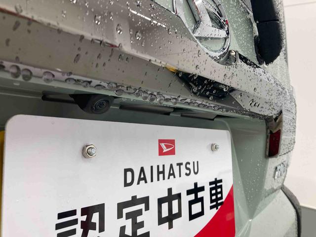 タフトＧターボ　ダーククロムベンチャー（岐阜県）の中古車