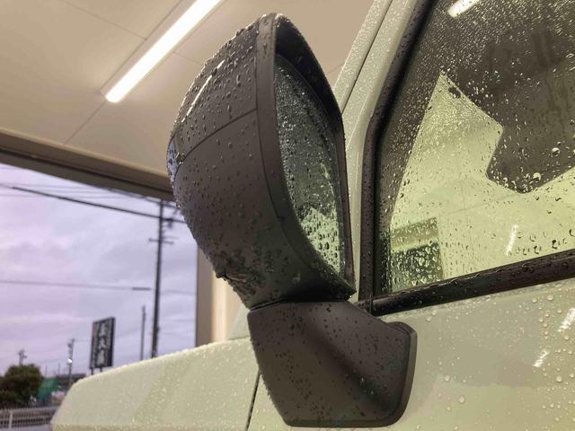 タフトＧターボ　ダーククロムベンチャー（岐阜県）の中古車