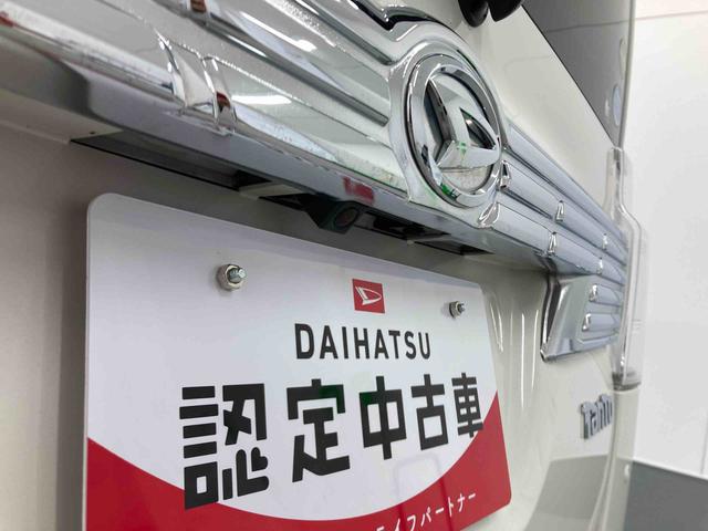 タントカスタムＸ　トップエディションＳＡII衝突被害軽減ブレーキ　横滑り防止装置　オートハイビーム　アイドリングストップ　ステアリングスイッチ　オートライト　キーフリーシステム　オートエアコン　社外ナビ　バックカメラ　マット　バイザー（岐阜県）の中古車