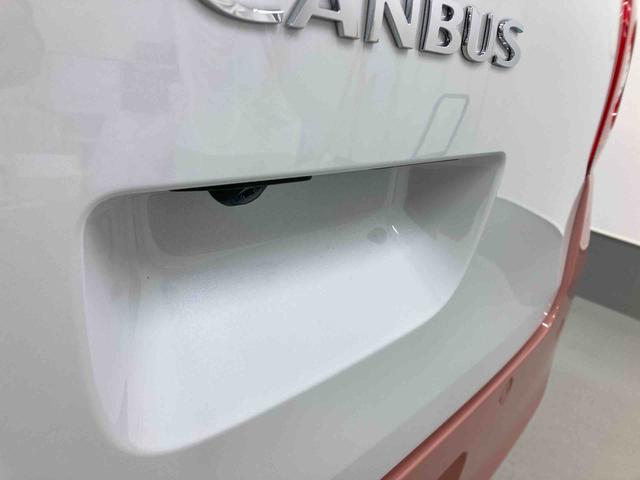 ムーヴキャンバスストライプスＧ（岐阜県）の中古車