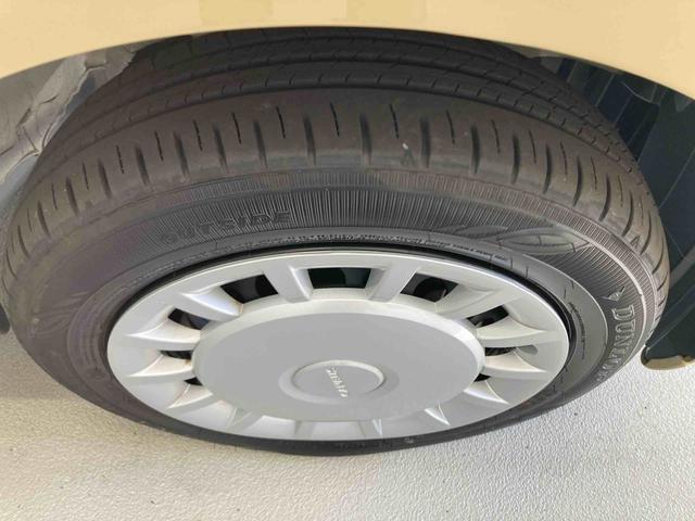 ムーヴキャンバスセオリーＸ（岐阜県）の中古車