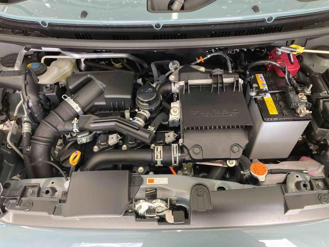 タフトＧターボ　クロムベンチャー（岐阜県）の中古車