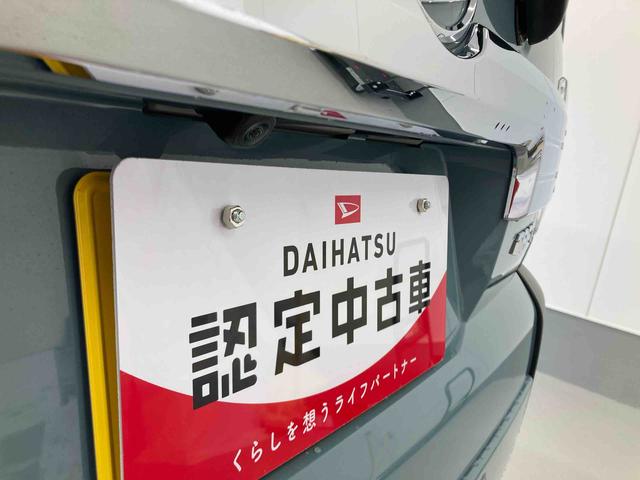 タフトＧターボ　クロムベンチャー（岐阜県）の中古車
