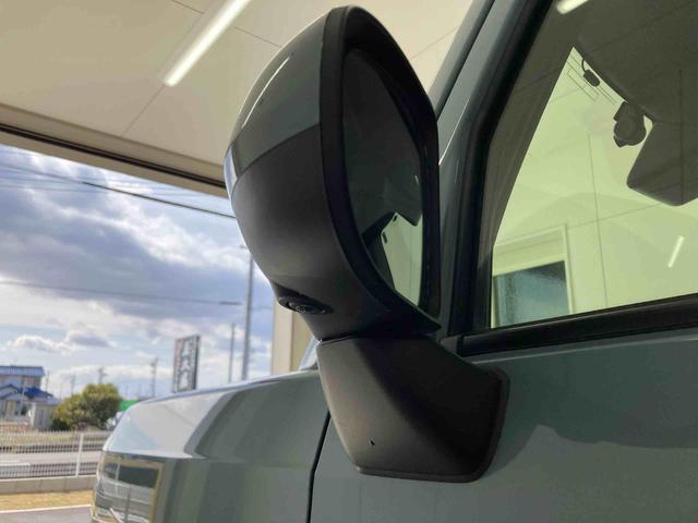 タフトＧターボ　クロムベンチャー（岐阜県）の中古車