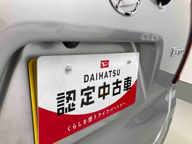タントＸ衝突被害軽減ブレーキ　横滑り防止装置　オートハイビーム　アイドリングストップ　ステアリングスイッチ　オートライト　キーフリーシステム　オートエアコン　パノラマカメラ　マット　バイザー（岐阜県）の中古車