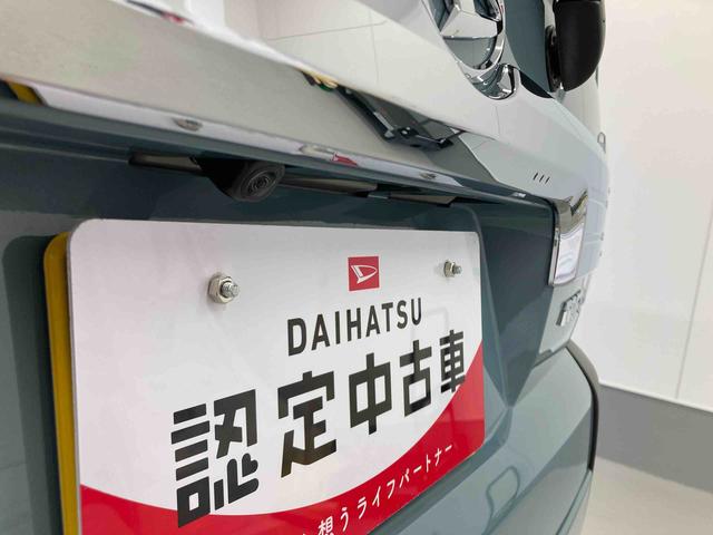 タフトＧ　クロムベンチャー衝突被害軽減ブレーキ　横滑り防止装置　オートハイビーム　アイドリングストップ　ステアリングスイッチ　オートライト　キーフリーシステム　オートエアコン　パノラマカメラ（岐阜県）の中古車