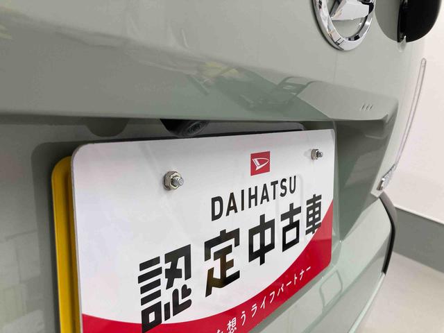 タフトＧ衝突被害軽減ブレーキ　横滑り防止装置　オートハイビーム　アイドリングストップ　ステアリングスイッチ　オートライト　キーフリーシステム　オートエアコン　バックカメラ（岐阜県）の中古車