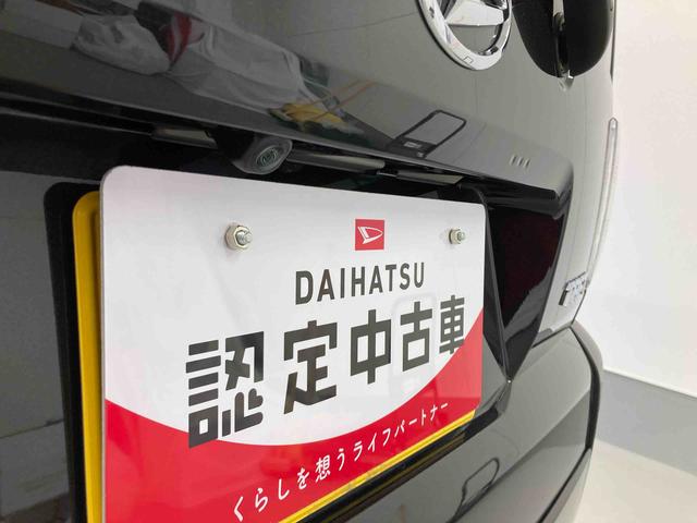 タフトＧ衝突被害軽減ブレーキ　横滑り防止装置　４ＷＤ　オートハイビーム　アイドリングストップ　ステアリングスイッチ　キーフリー　ディスプレイオーディオ　パノラマカメラ　マット　バイザー　社外ドラレコ（岐阜県）の中古車