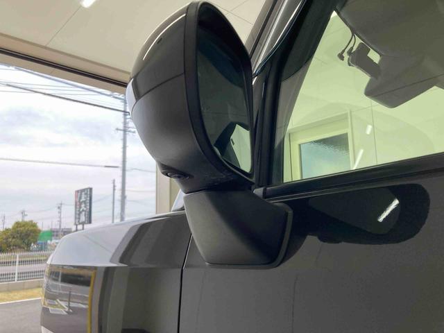 タフトＧ衝突被害軽減ブレーキ　横滑り防止装置　４ＷＤ　オートハイビーム　アイドリングストップ　ステアリングスイッチ　キーフリー　ディスプレイオーディオ　パノラマカメラ　マット　バイザー　社外ドラレコ（岐阜県）の中古車