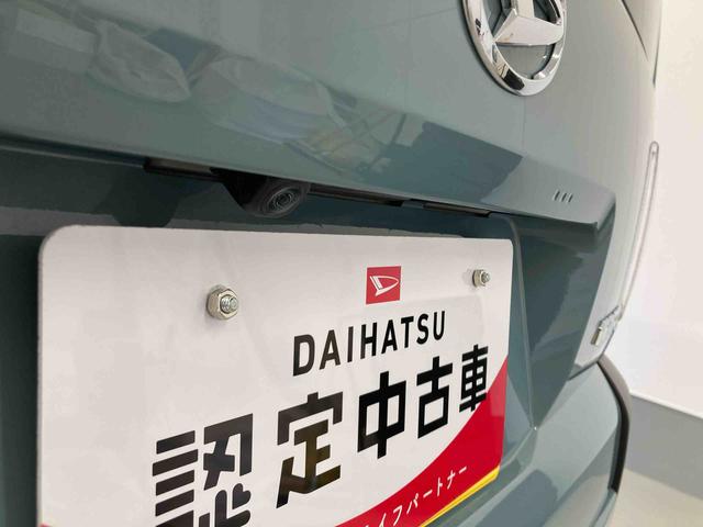 タフトＸ衝突被害軽減ブレーキ　横滑り防止装置　オートハイビーム　アイドリングストップ　ステアリングスイッチ　オートライト　キーフリーシステム　オートエアコン　パノラマカメラ　マット　バイザー（岐阜県）の中古車