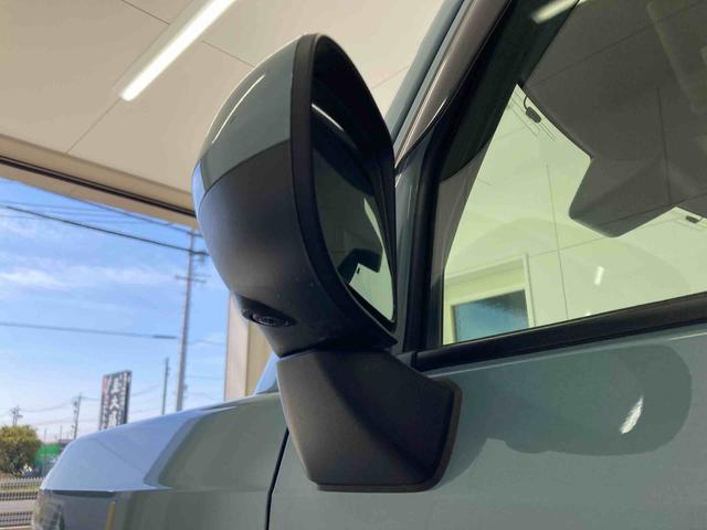 タフトＸ衝突被害軽減ブレーキ　横滑り防止装置　オートハイビーム　アイドリングストップ　ステアリングスイッチ　オートライト　キーフリーシステム　オートエアコン　パノラマカメラ　マット　バイザー（岐阜県）の中古車