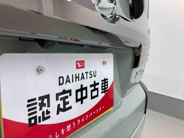 タフトＧ　ダーククロムベンチャー衝突被害軽減ブレーキ　横滑り防止装置　オートハイビーム　アイドリングストップ　ステアリングスイッチ　オートライト　キーフリーシステム　オートエアコン　パノラマカメラ　マット　バイザー（岐阜県）の中古車