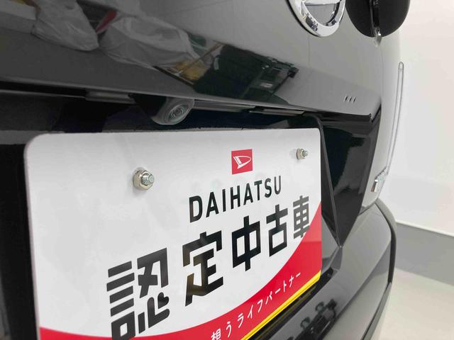 タフトＧ衝突被害軽減ブレーキ　横滑り防止装置　オートハイビーム　アイドリングストップ　ステアリングスイッチ　オートライト　キーフリーシステム　オートエアコン　パノラマカメラ　マット　バイザー（岐阜県）の中古車