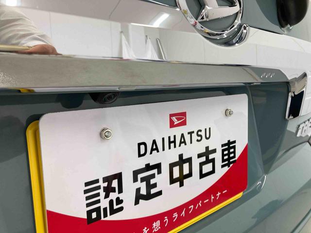 タフトＧ衝突被害軽減ブレーキ　横滑り防止装置　オートハイビーム　アイドリングストップ　ステアリングスイッチ　オートライト　キーフリー　オートエアコン　ナビ　ドラレコ　パノラマカメラ　ＥＴＣ　マット　バイザー（岐阜県）の中古車