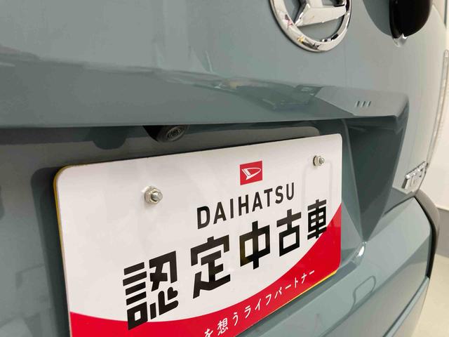 タフトＸ衝突被害軽減ブレーキ　横滑り防止装置　オートハイビーム　アイドリングストップ　ステアリングスイッチ　オートライト　キーフリー　オートエアコン　ナビ　ドラレコ　パノラマカメラ　ＥＴＣ　マット　バイザー（岐阜県）の中古車