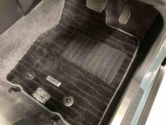 タフトＸ衝突被害軽減ブレーキ　横滑り防止装置　オートハイビーム　アイドリングストップ　ステアリングスイッチ　オートライト　キーフリー　オートエアコン　ナビ　ドラレコ　パノラマカメラ　ＥＴＣ　マット　バイザー（岐阜県）の中古車