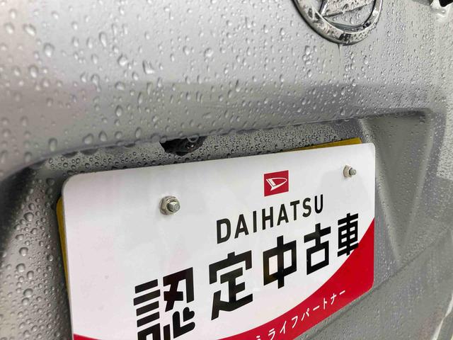 タントＸ衝突被害軽減ブレーキ　横滑り防止装置　オートハイビーム　アイドリングストップ　ステアリングスイッチ　オートライト　キーフリーシステム　オートエアコン　ナビ　パノラマカメラ　ＥＴＣ　マット　社外アルミ（岐阜県）の中古車
