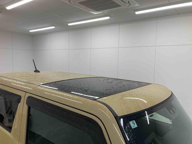 タフトＸ衝突被害軽減ブレーキ　横滑り防止装置　オートハイビーム　アイドリングストップ　ステアリングスイッチ　オートライト　キーフリーシステム　オートエアコン　バックカメラ　マット　バイザー（岐阜県）の中古車