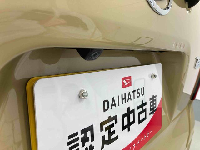 タントＸ衝突被害軽減ブレーキ　横滑り防止装置　オートハイビーム　アイドリングストップ　ステアリングスイッチ　オートライト　キーフリーシステム　オートエアコン　パノラマカメラ　マット　バイザー（岐阜県）の中古車