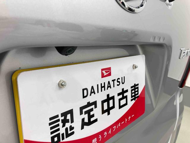 タントＸ衝突被害軽減ブレーキ　横滑り防止装置　オートハイビーム　アイドリングストップ　ステアリングスイッチ　オートライト　キーフリーシステム　オートエアコン　パノラマカメラ　マット　バイザー（岐阜県）の中古車