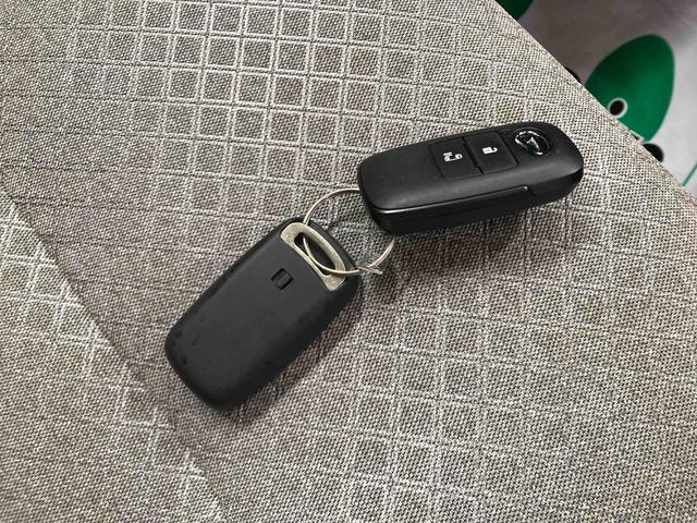 タントＸ衝突被害軽減ブレーキ　横滑り防止装置　オートハイビーム　アイドリングストップ　ステアリングスイッチ　オートライト　キーフリーシステム　オートエアコン　パノラマカメラ　マット　バイザー（岐阜県）の中古車