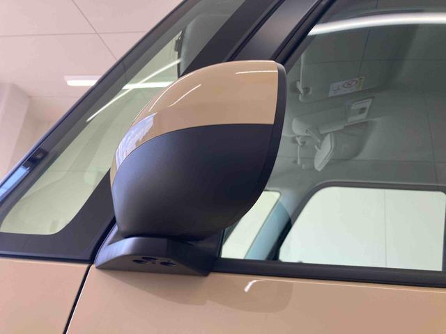 タントXリミテッド(岐阜県)の中古車