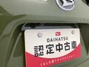 衝突被害軽減ブレーキ　横滑り防止装置　オートハイビーム　アイドリングストップ　ステアリングスイッチ　オートライト　キーフリーシステム　オートエアコン　パノラマカメラ　マット　バイザー（岐阜県）の中古車
