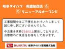 衝突被害軽減ブレーキ　横滑り防止装置　オートハイビーム　アイドリングストップ　ステアリングスイッチ　オートライト　キーフリーシステム　オートエアコン　ナビ　ドラレコ　ＥＴＣ　マット　バイザー（岐阜県）の中古車