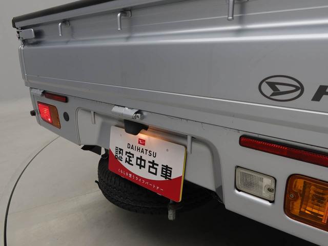 ハイゼットトラックスタンダード　農用スペシャルＳＡIIIｔ（愛知県）の中古車