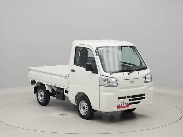 ハイゼットトラックスタンダード（愛知県）の中古車