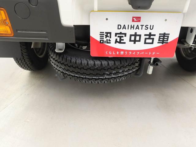 ハイゼットトラックスタンダード（愛知県）の中古車