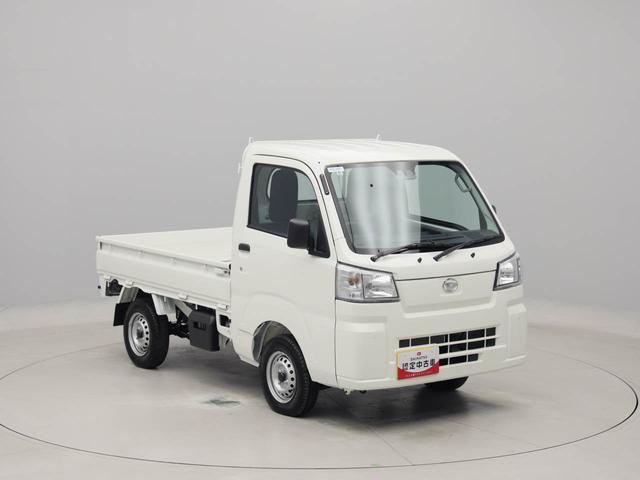 ハイゼットトラックスタンダード（愛知県）の中古車