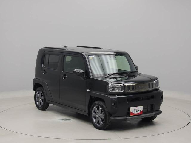 タフトＧ　ダーククロムベンチャー（愛知県）の中古車