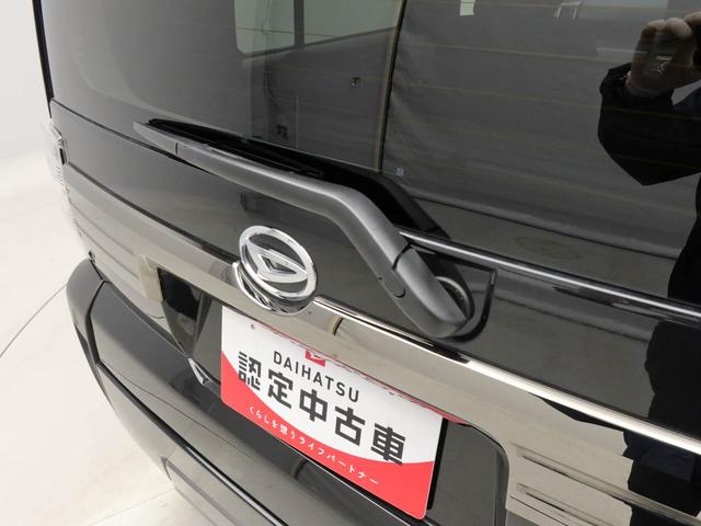 タフトＧ　ダーククロムベンチャー（愛知県）の中古車