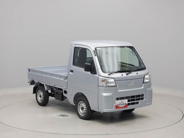 ハイゼットトラックスタンダード（愛知県）の中古車