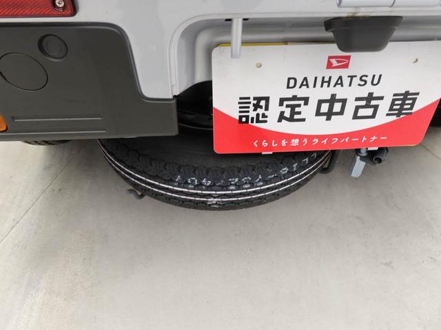 ハイゼットトラックスタンダード（愛知県）の中古車