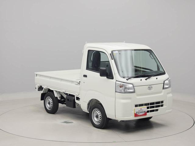 ハイゼットトラックスタンダード（愛知県）の中古車