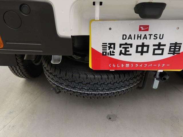 ハイゼットトラックスタンダード（愛知県）の中古車